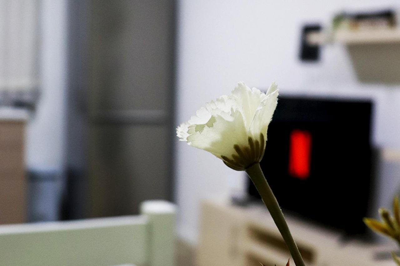Euonia Apartment Tirana Kültér fotó